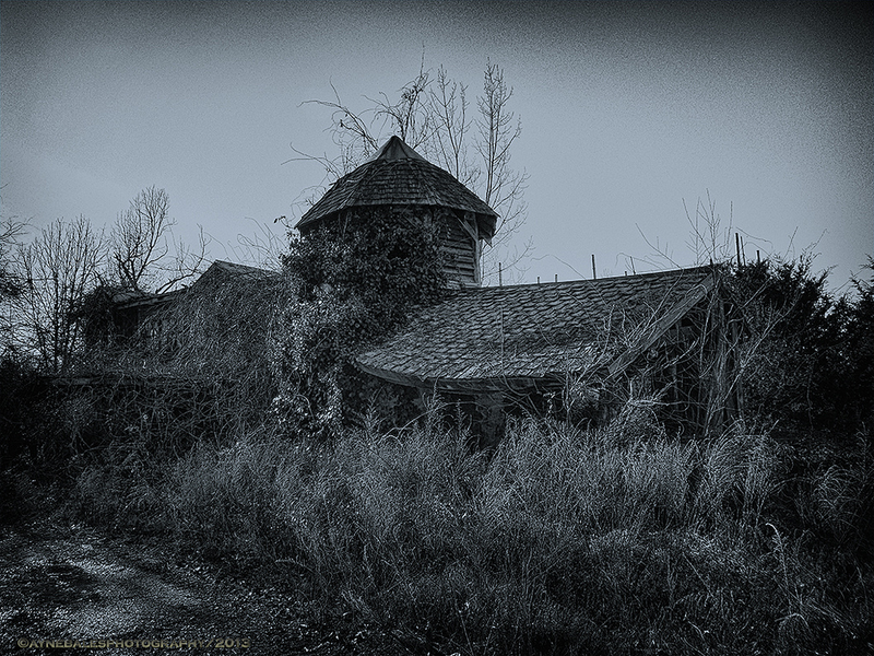 Illustration for article titled The Haunting Remains of the Virginia Renaissance Faire